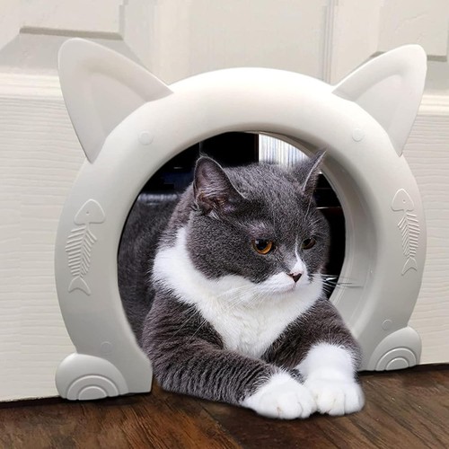 Cat door for interior - for,